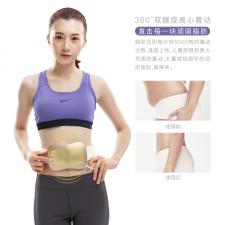 舒華 甩脂腰帶甩脂機(jī)按摩儀器懶人運(yùn)動(dòng)震動(dòng)抖抖機(jī)塑身機(jī)SH-M1652